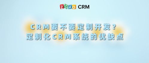 定制开发CRM系统的优缺点
